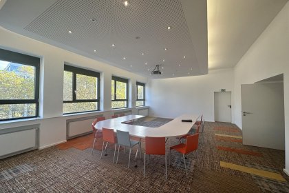 Meeting