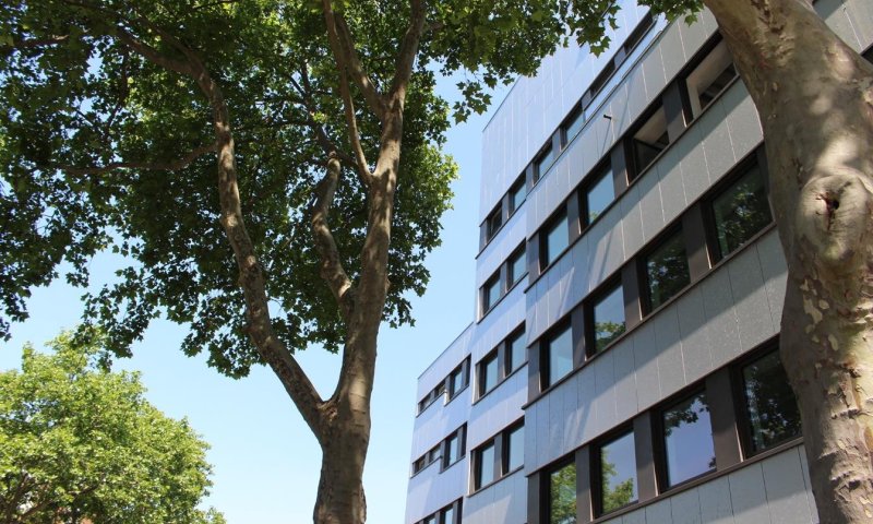 Neubauqualität mitten in Köln