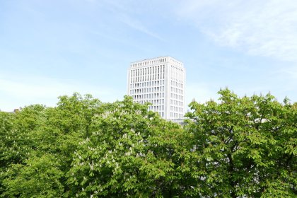 Ausblick