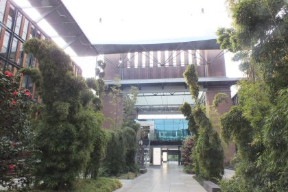 Mall