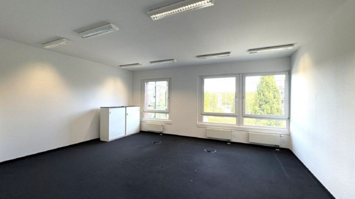Bild1