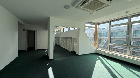 IMG_7041