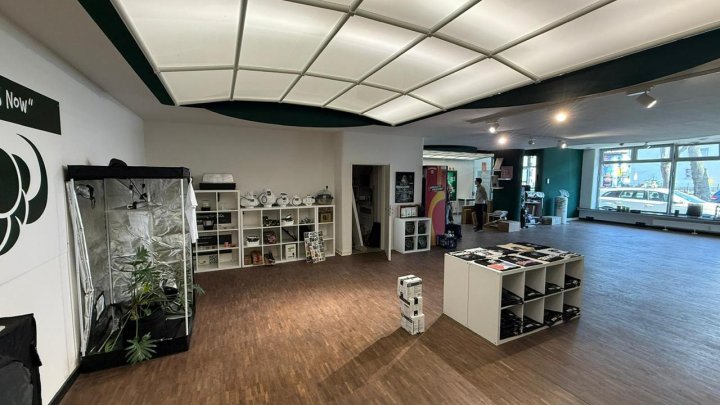 Vielseitige Gewerbefläche für Büro, Praxis & Coworking in Ehrenfeld