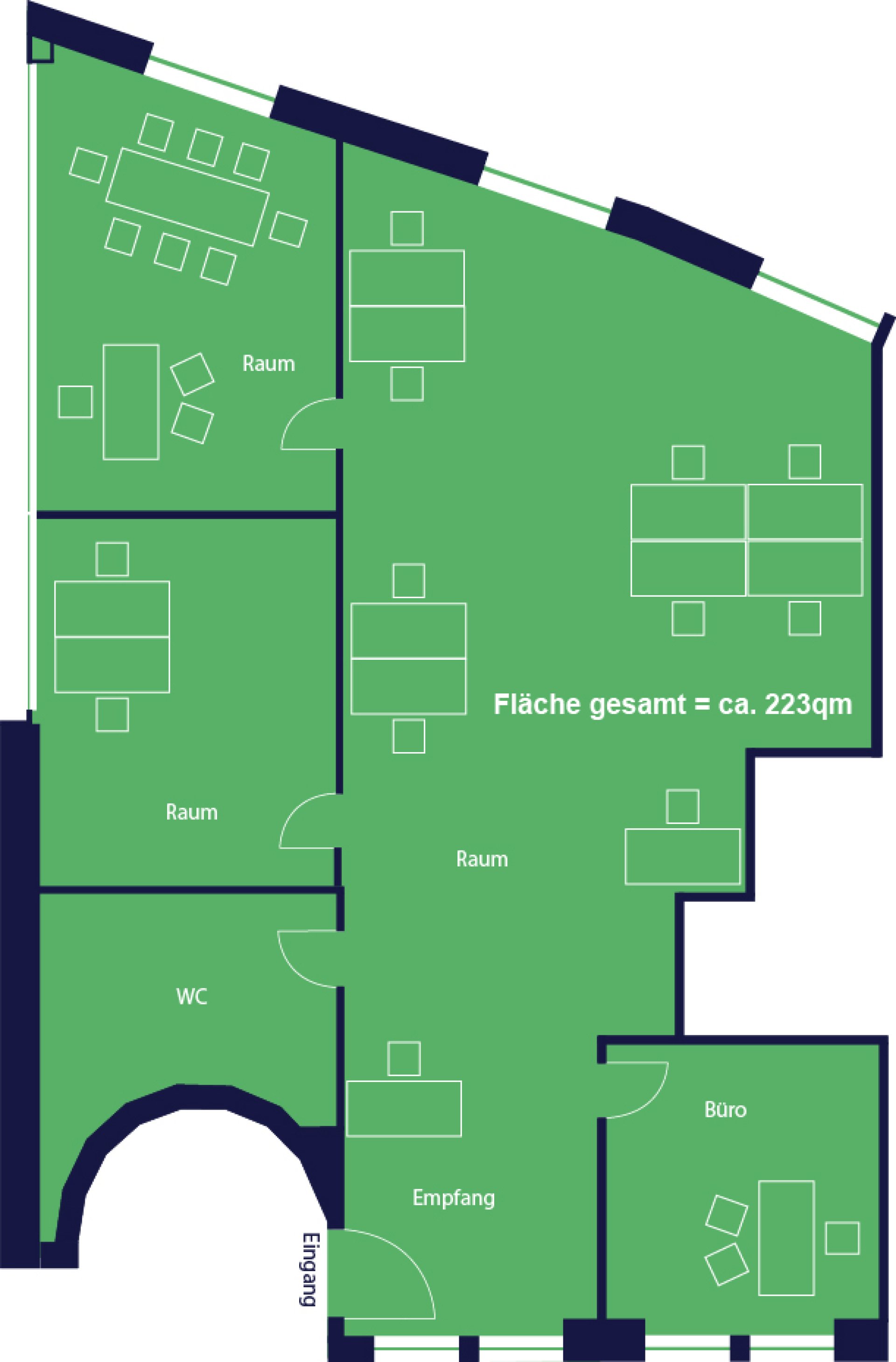 Grundriss1OG_223 qm